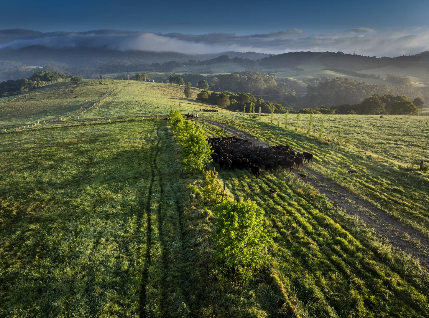 Additional image 7 of 294 Coramba Road, Dorrigo NSW 2453
