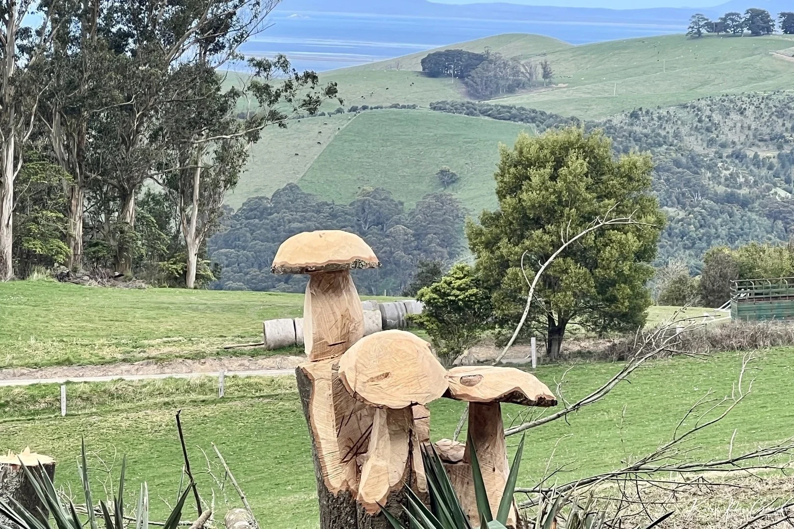 Additional image 2 of 200 Wonga Square Top Road, Wonga VIC 3960