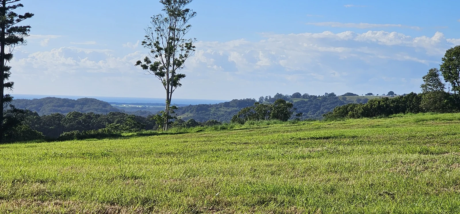 Additional image 22 of Dalwood NSW 2477