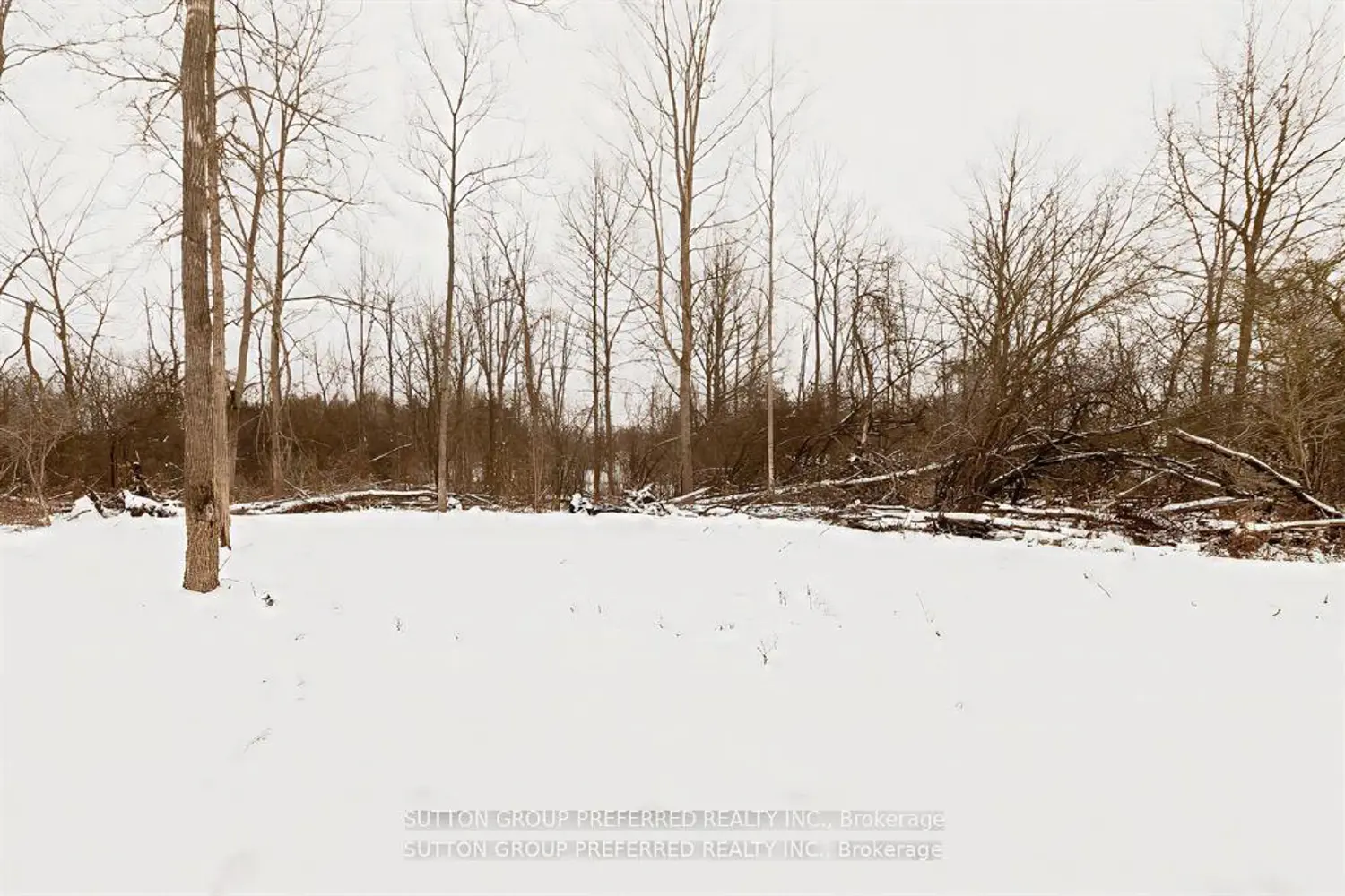 Additional image 19 of 175 Glengariff Drive 16