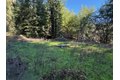 Additional image 31 of 1000 Harmon Gulch Rd, Boulder Creek, CA, 95006