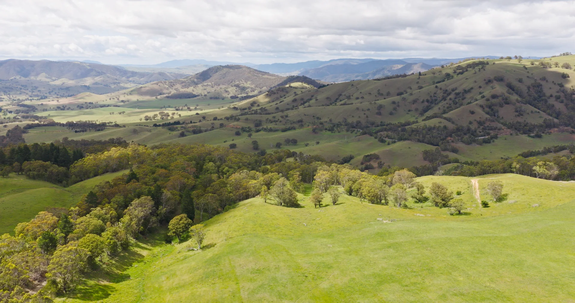 Additional image 26 of Lot 3 - 289 Tongio Gap Road, Tongio VIC 3896