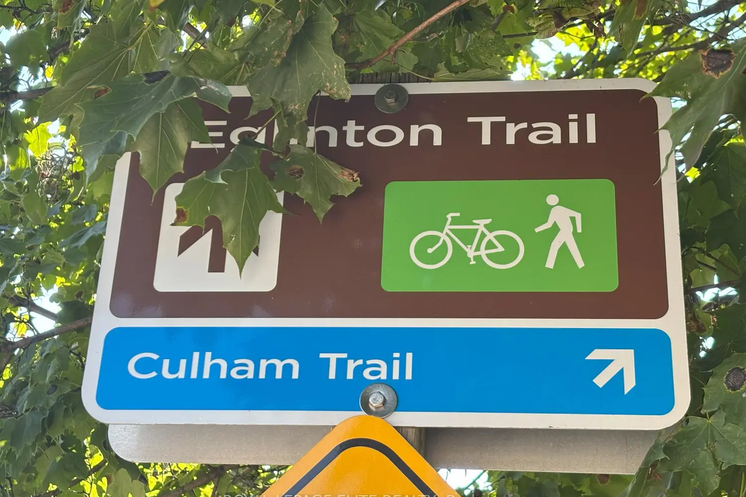 Additional image 6 of 1631 Eglinton Avenue