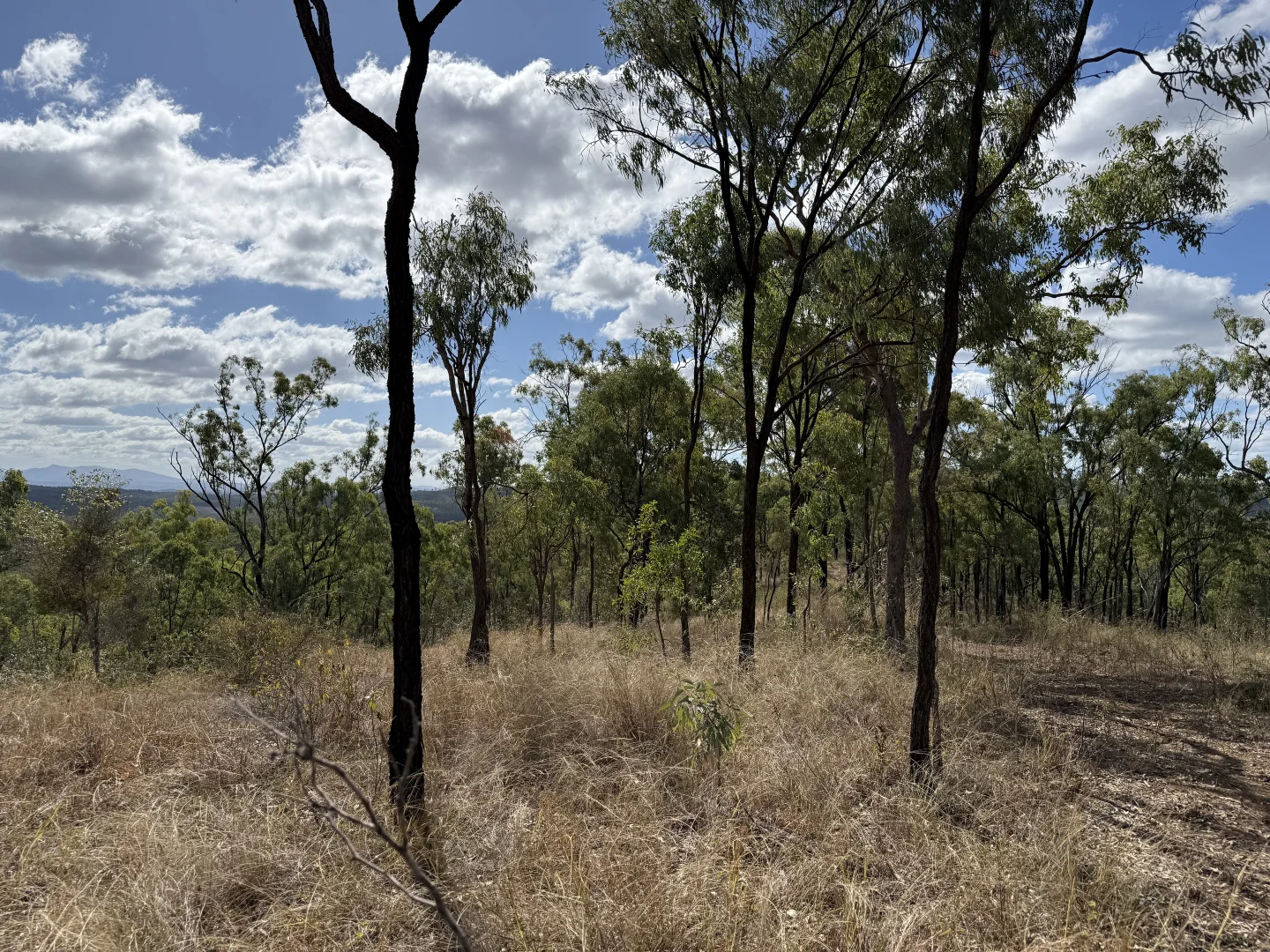 Additional image 15 of 471 Neill Creek Road, Wooderson QLD 4680