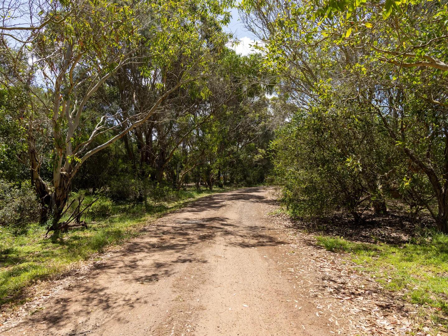 Additional image 38 of 64 Albert Road, Port Fairy VIC 3284