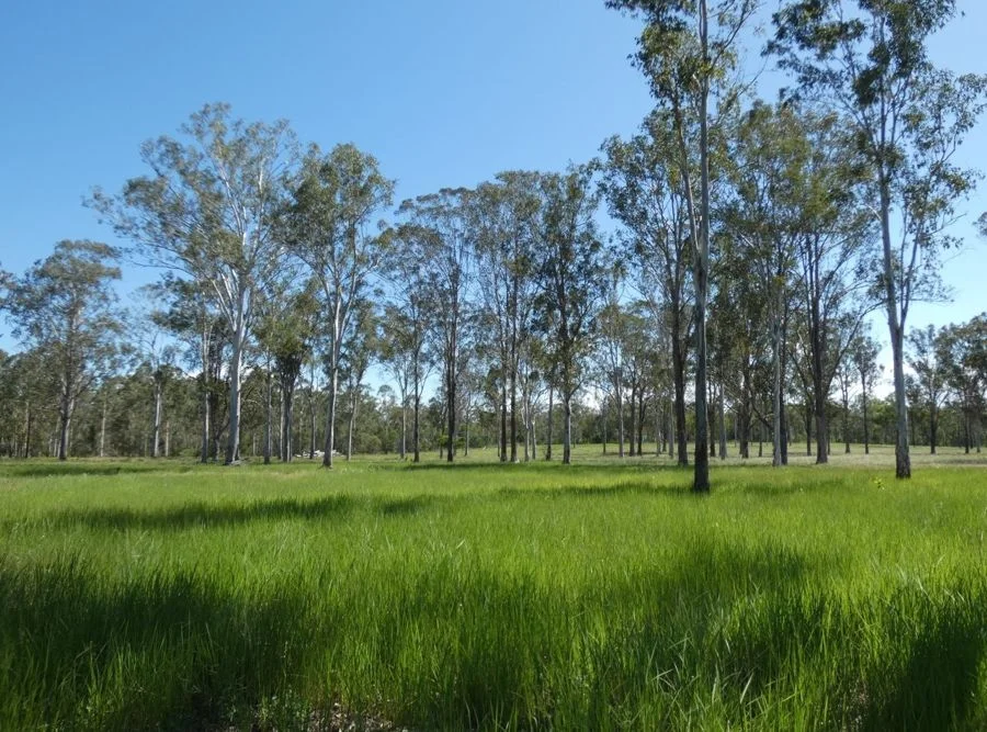 Additional image 33 of 158 Taunton Road, Euleilah QLD 4674