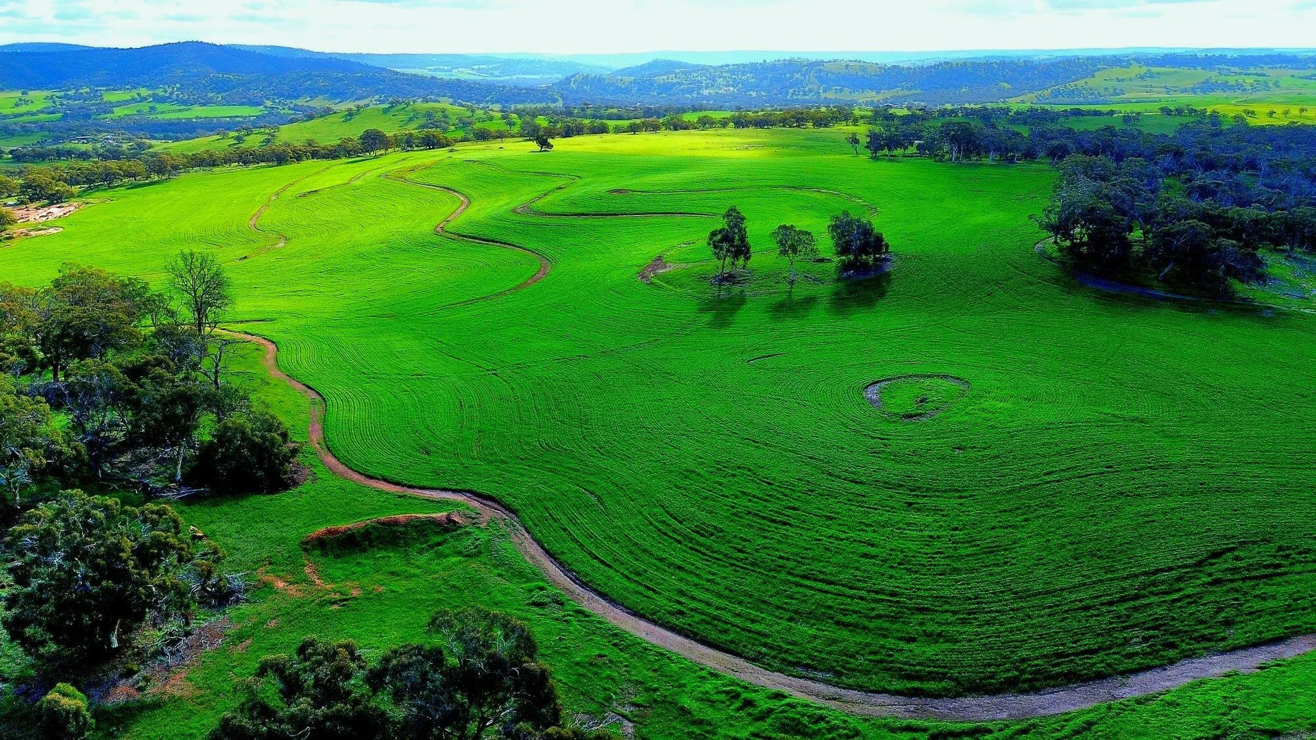 Additional image 8 of 142 Dumbarton Rd, Dumbarton WA 6566