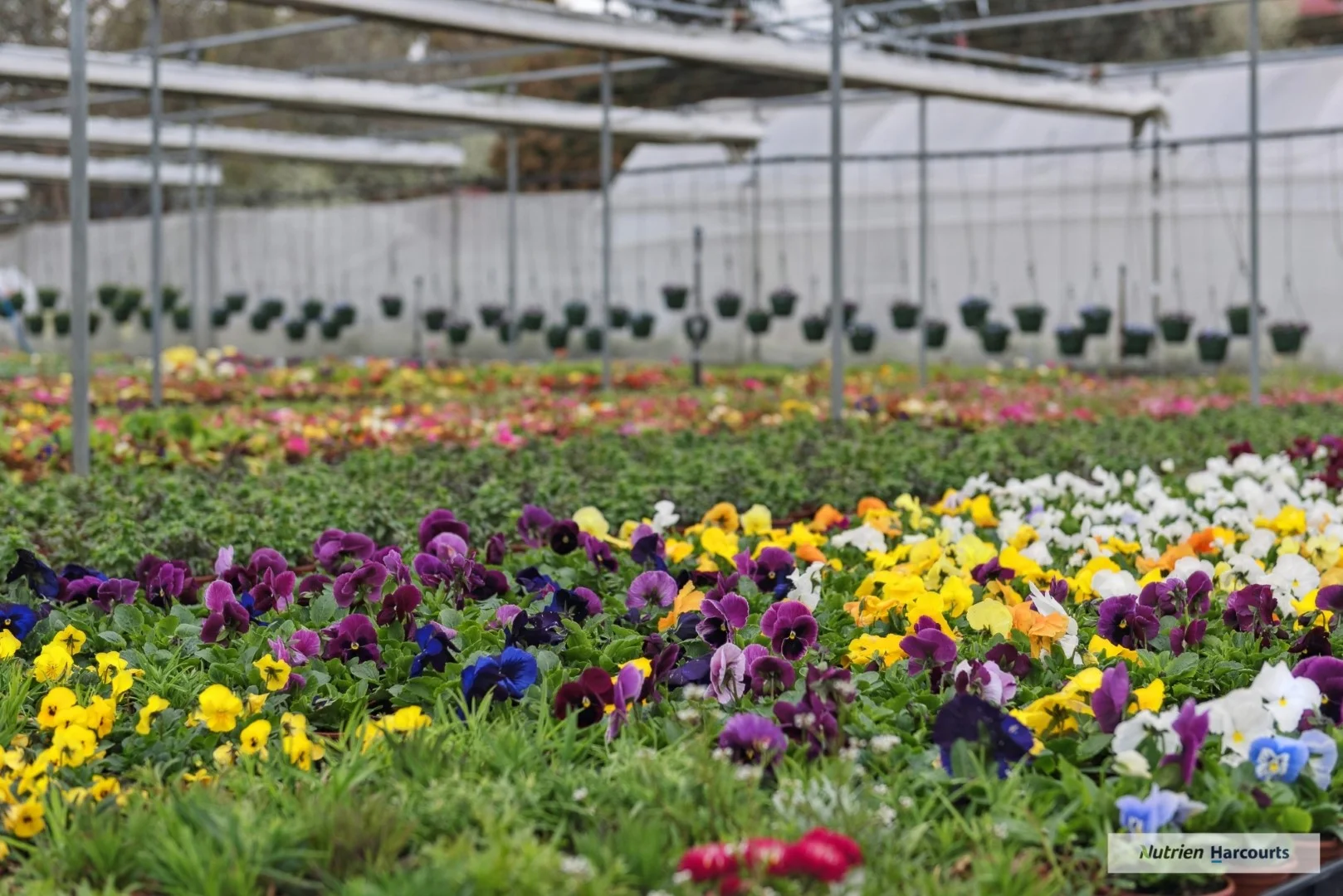 Additional image 2 of 5A Rail Street, Wandong VIC 3758