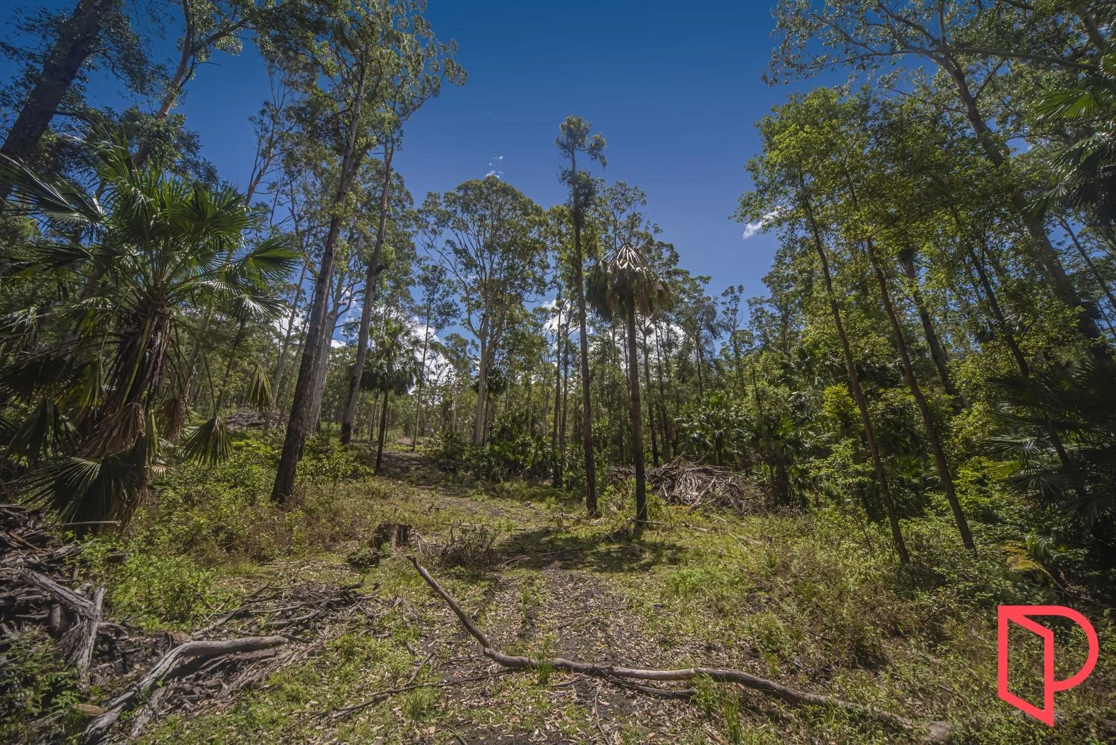 42 Turpentine Road, Tomerong NSW 2540