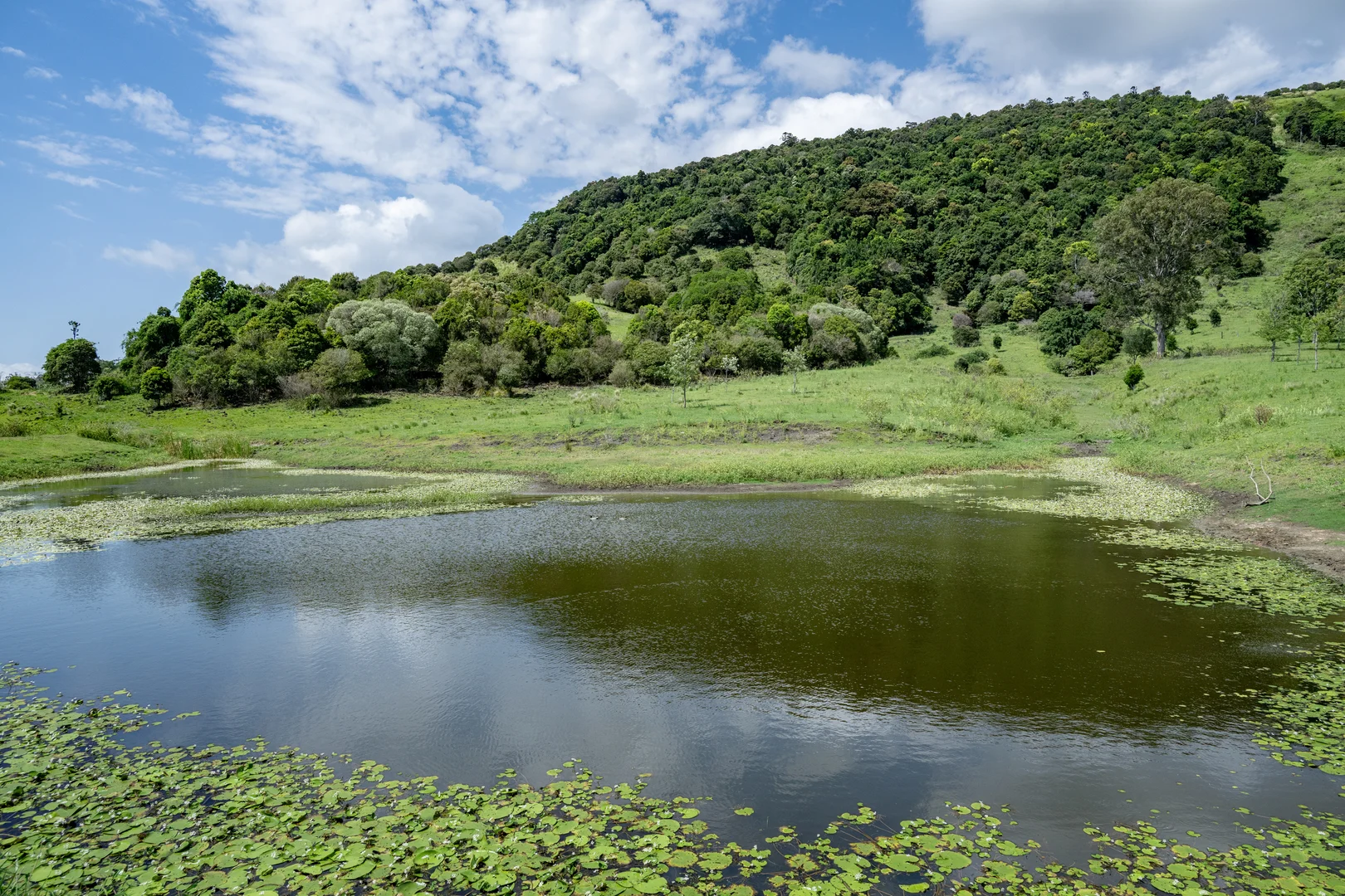 Additional image 21 of 239 Parsons Road, Coondoo QLD 4570