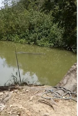 Additional image 8 of 104 Mount Ossa Seaforth Road, Mount Ossa QLD 4741