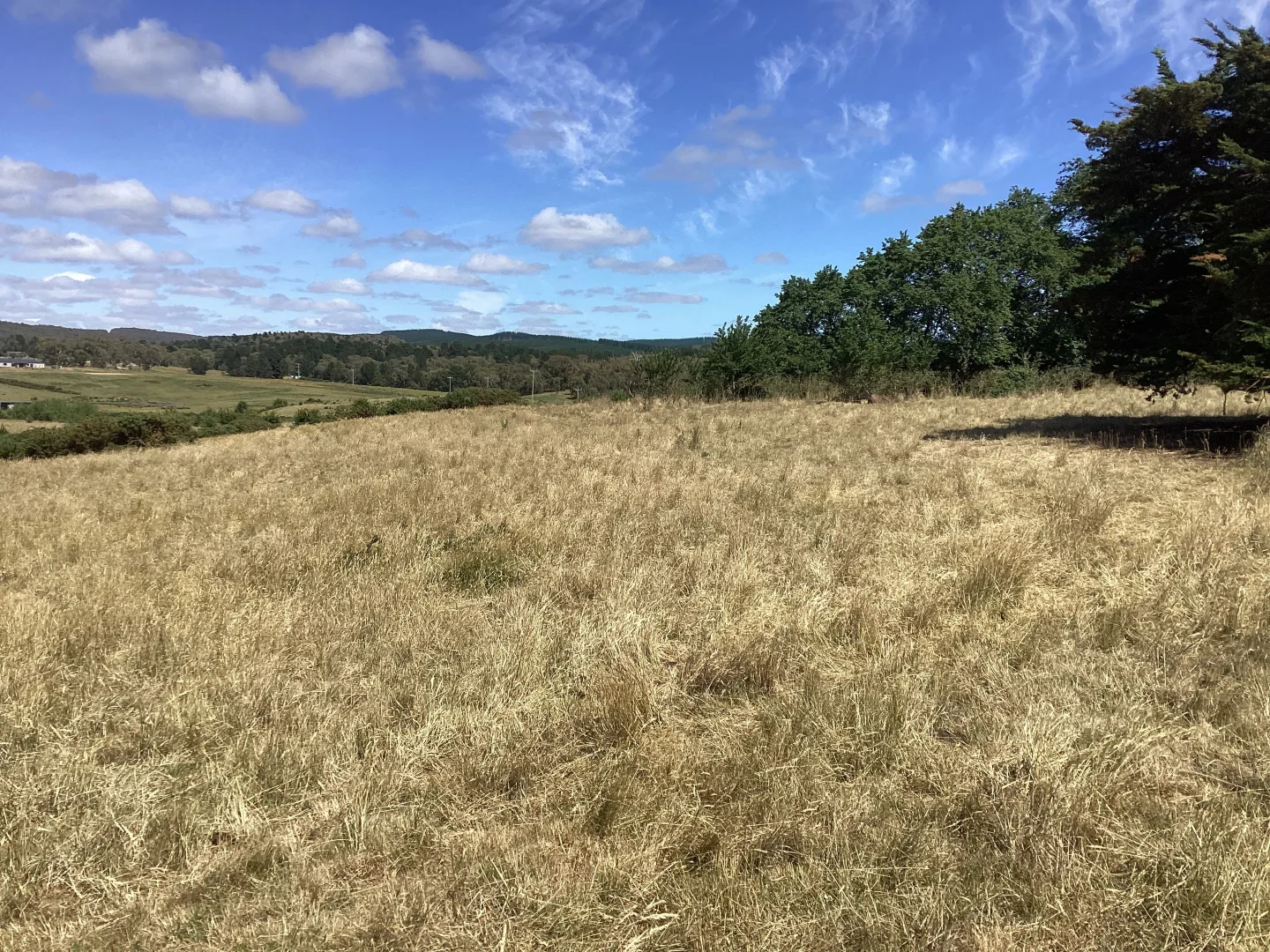 Additional image 6 of 10 & 10a Daniels Road, Scarsdale VIC 3351