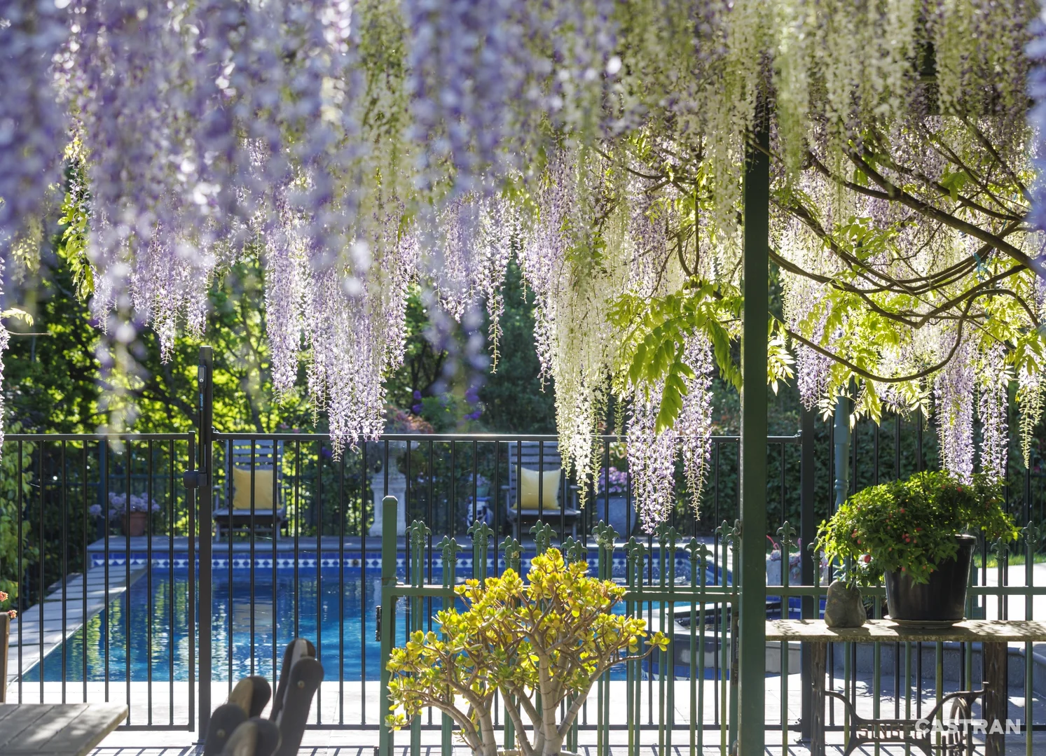 Additional image 10 of 125 Swansea Road, Montrose VIC 3765