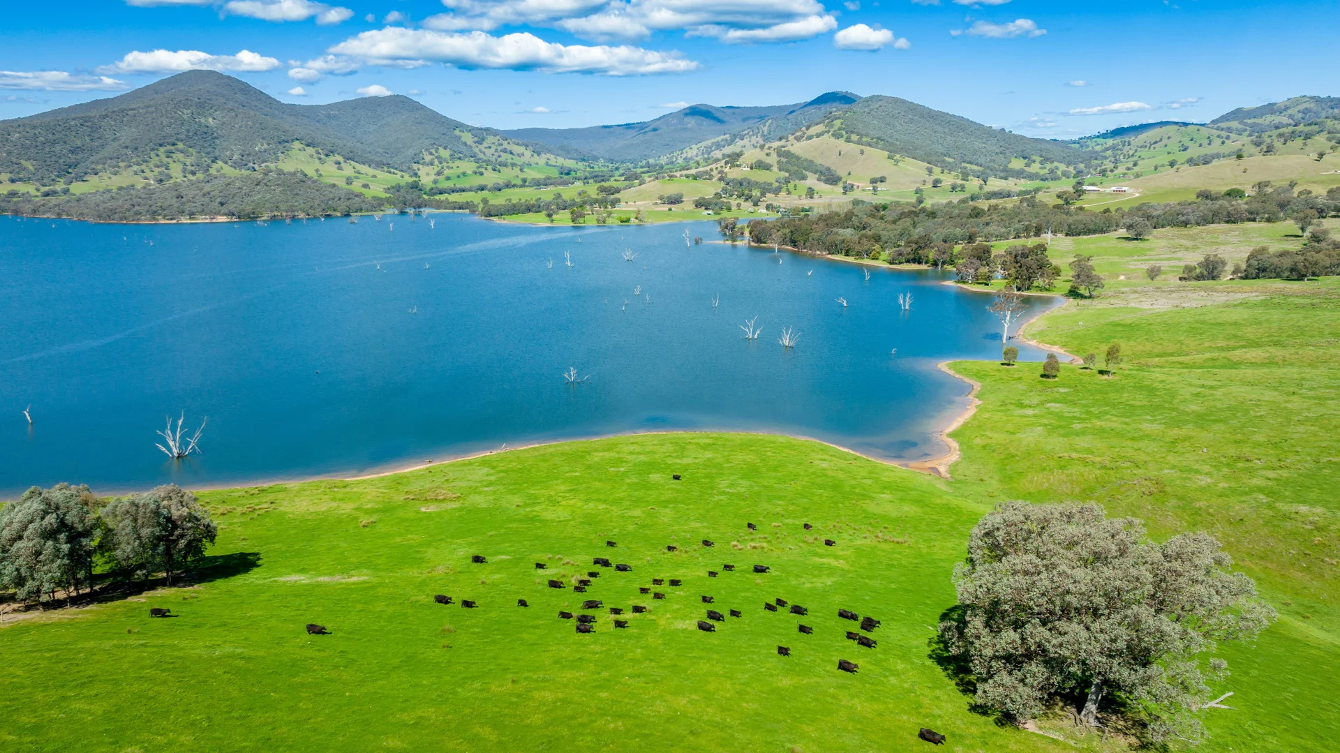 Additional image 18 of 'Inglebrae'/1523 Murray River Rd, Talgarno VIC 3691