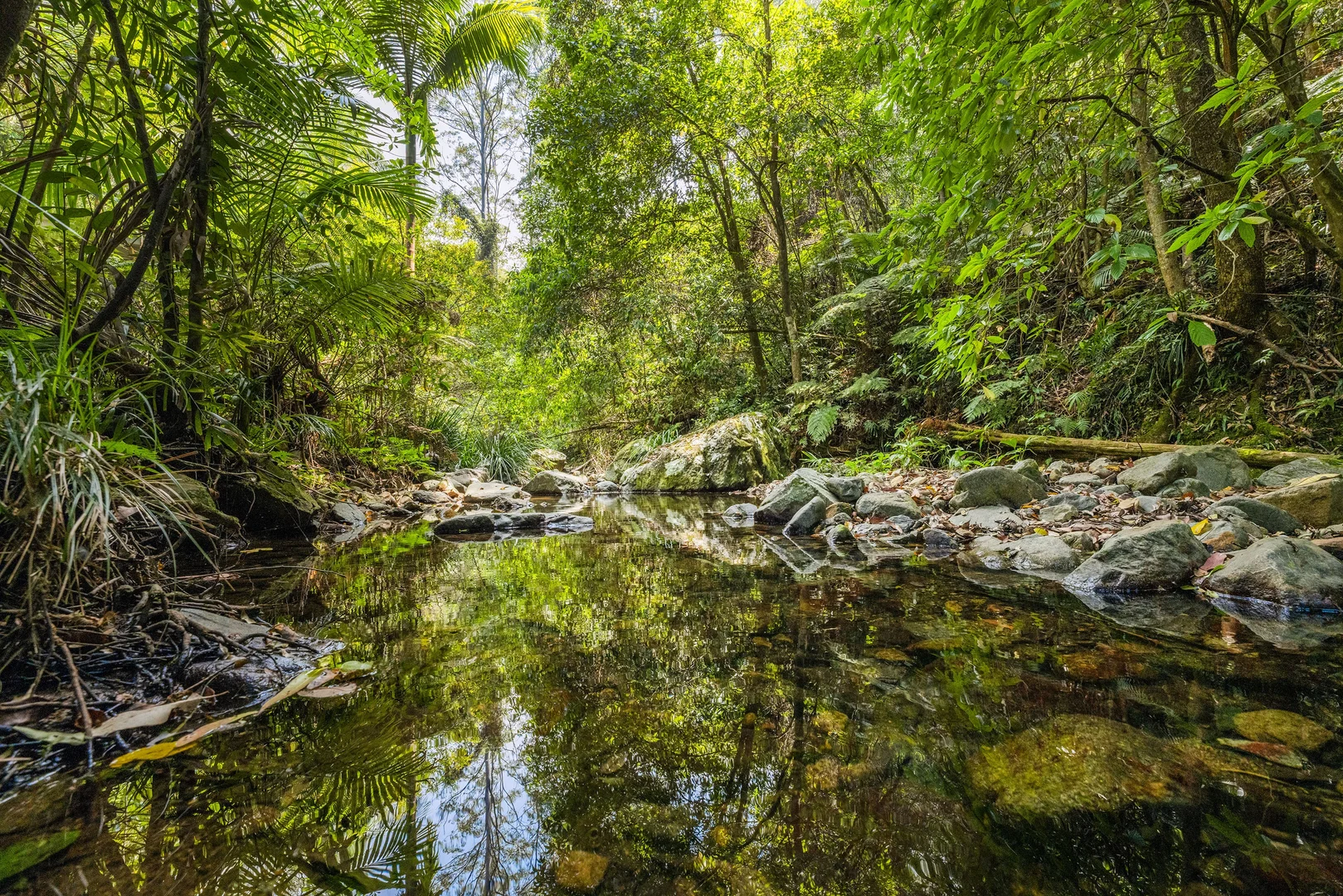 Additional image 4 of 109 Little North Arm Road, Bellingen NSW 2454