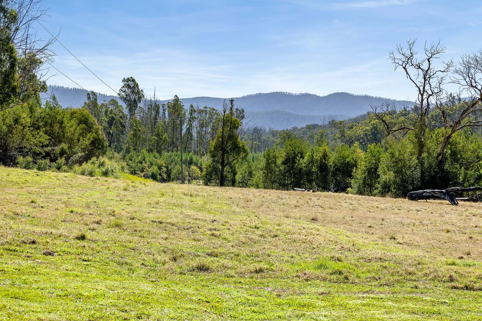 Additional image 21 of 2 Gulph Street, Nerrigundah NSW 2545