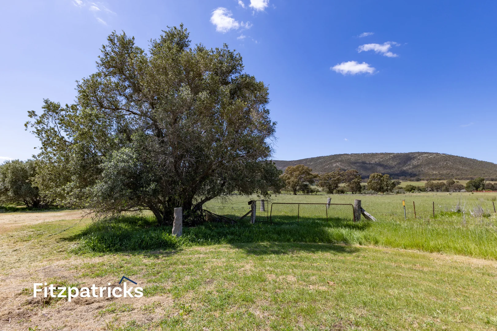 Additional image 6 of 66 Gap Road 'Little Rock', The Rock NSW 2655