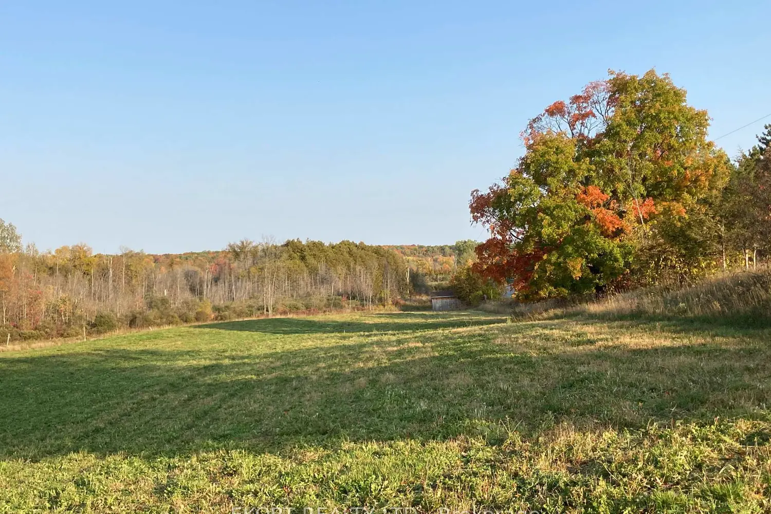 Additional image 9 of 309 Vanderwater Road