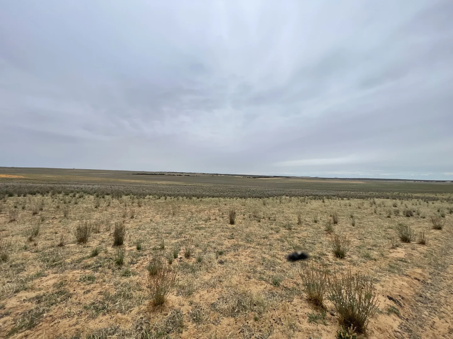 Additional image 20 of 2440 Black Hill Road, Black Hill SA 5353