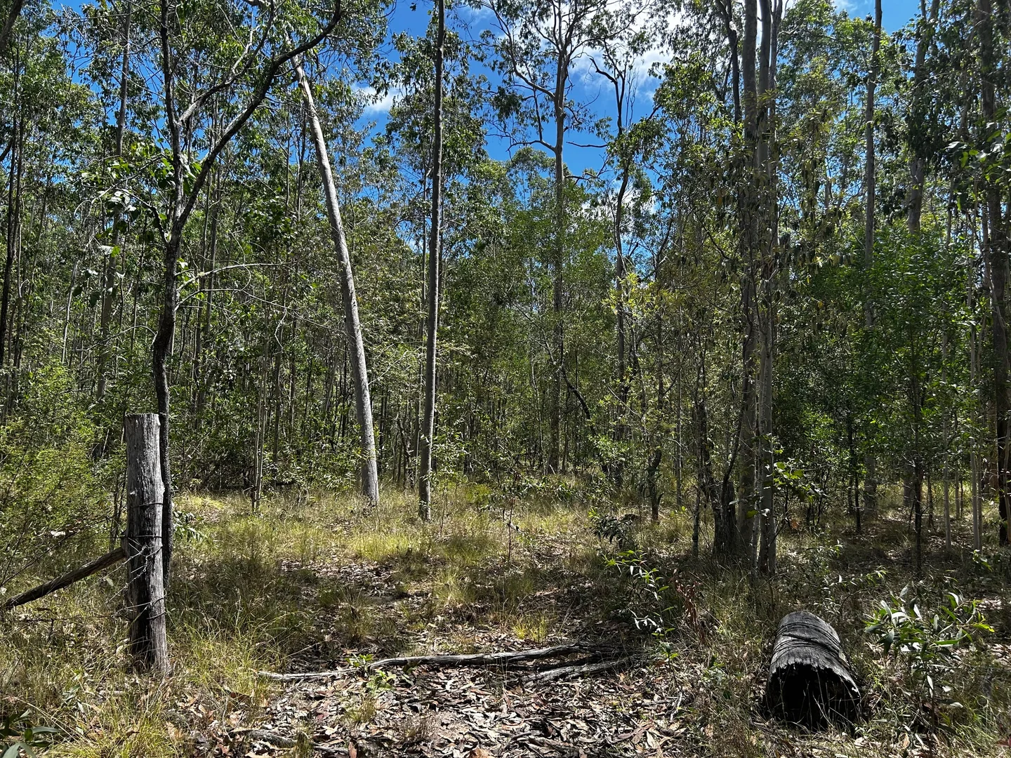 Additional image 7 of 6620 Summerland Way, Myrtle Creek NSW 2469