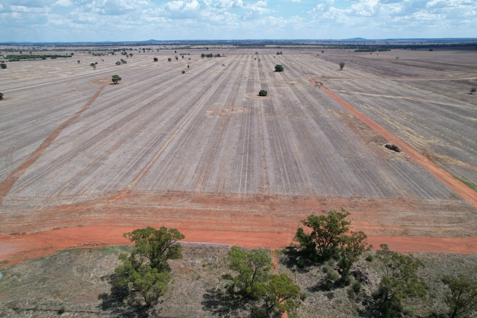 Additional image 22 of 2190 Yarrabandai Road, Trundle NSW 2875