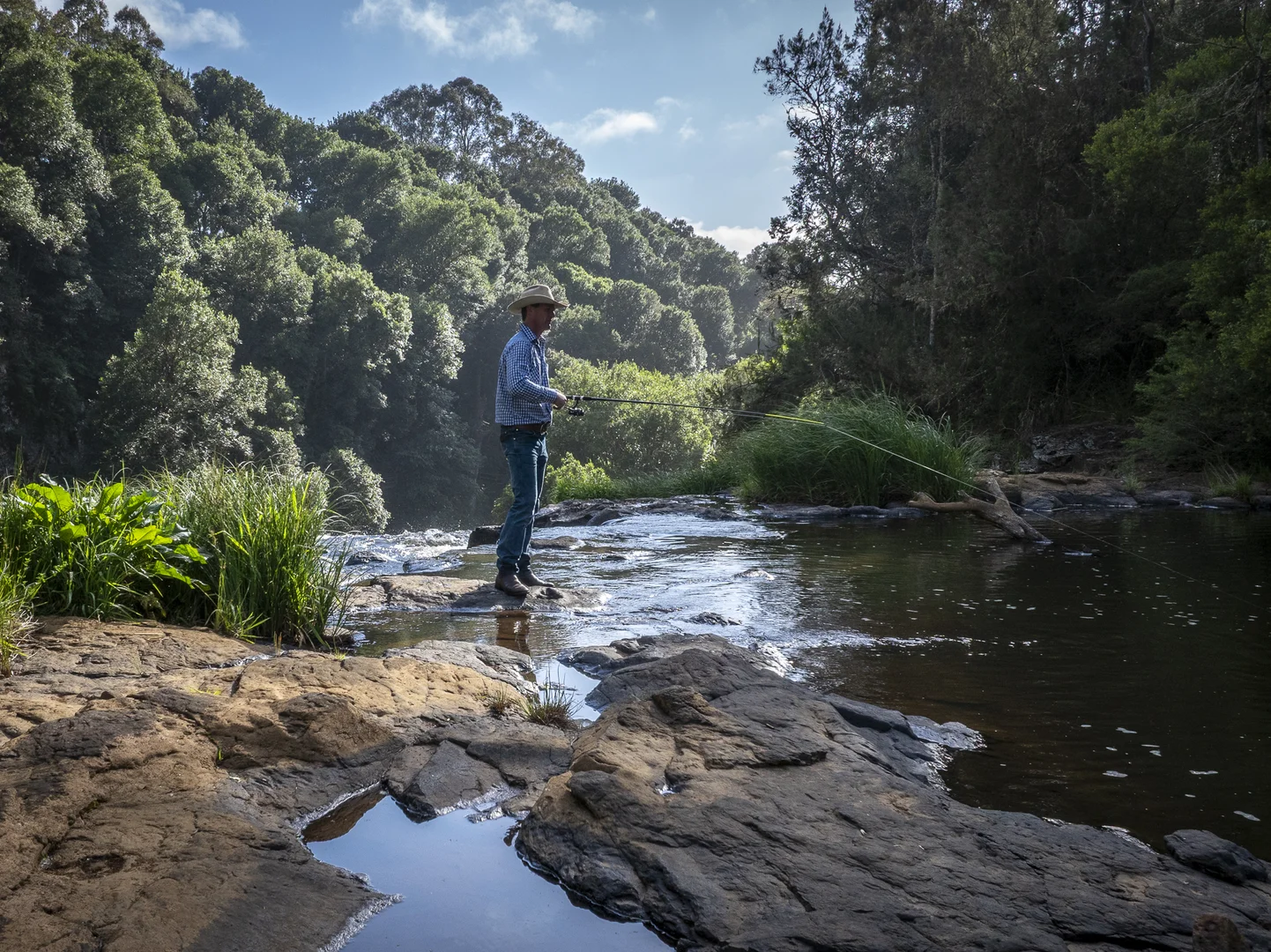 Additional image 20 of 294 Coramba Road, Dorrigo NSW 2453