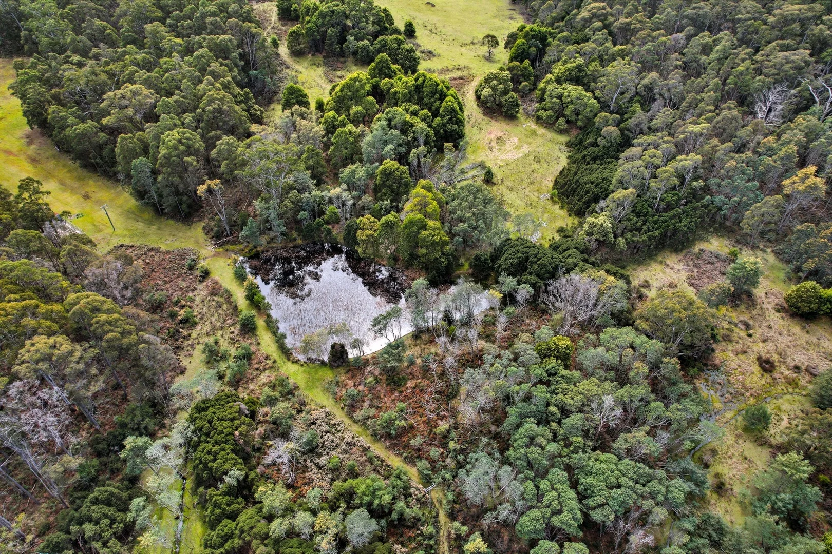 Additional image 14 of 28A Lorikeet Lane, Rosevale TAS 7292