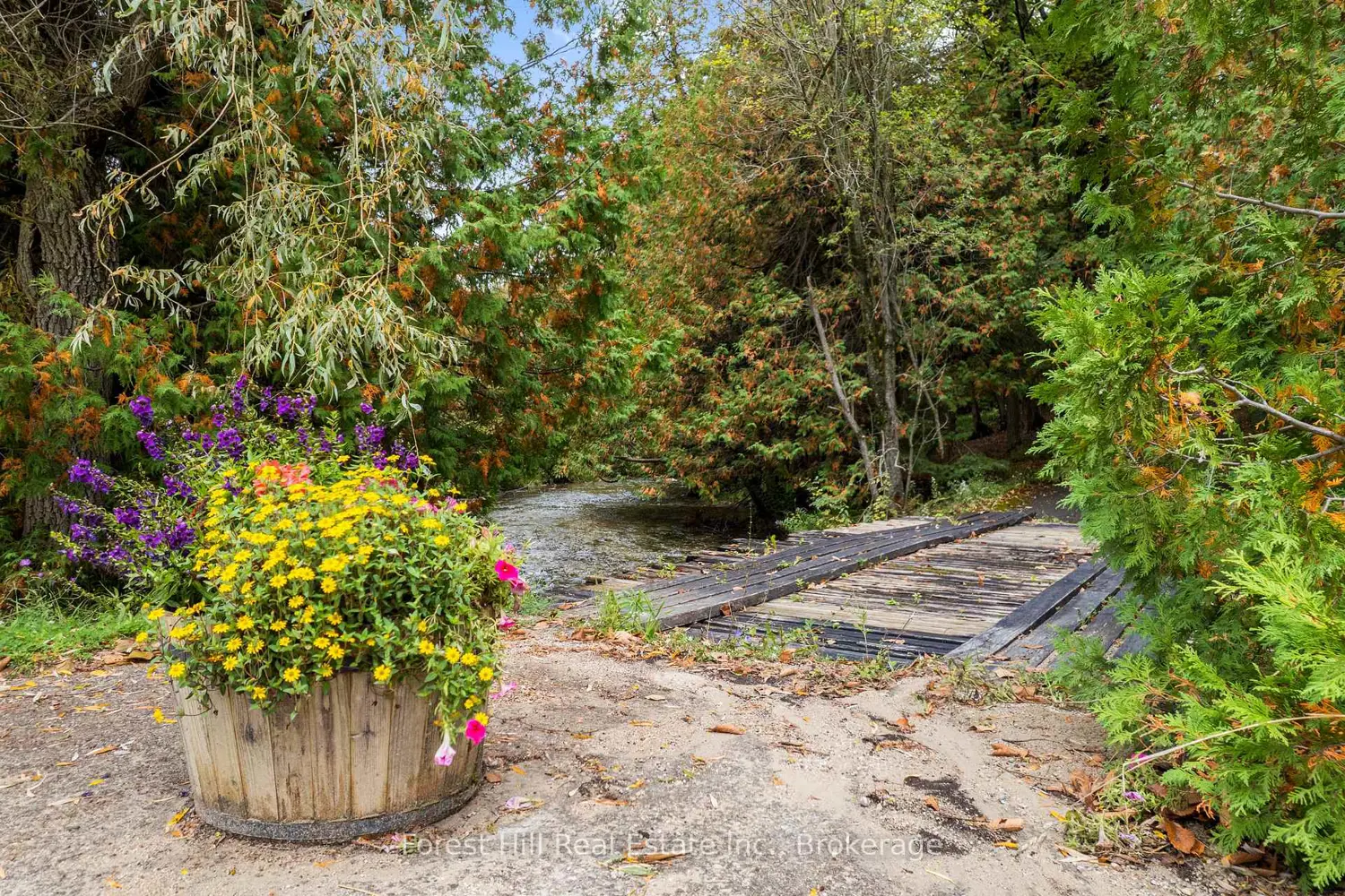 Additional image 14 of 403288 Grey Road 4