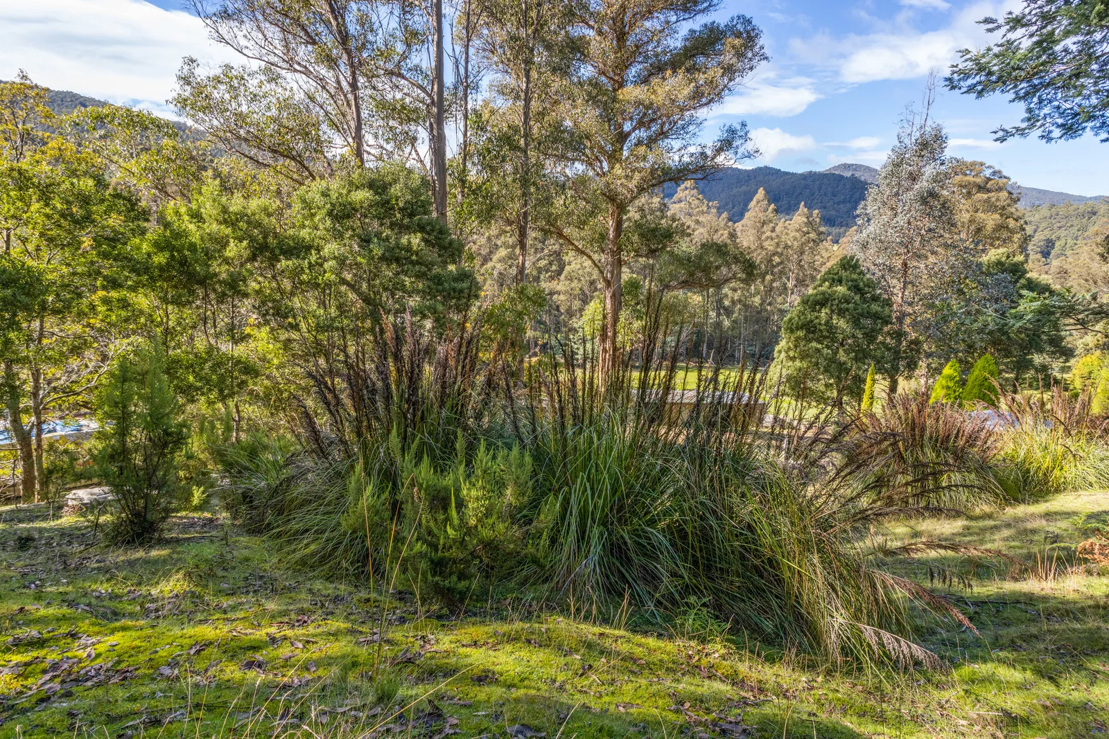 Additional image 9 of 1 Smiths Road, Nicholls Rivulet TAS 7112