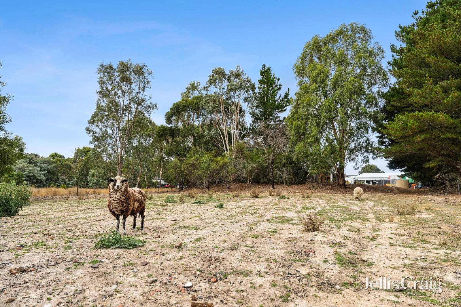 Additional image 7 of 31 Gorman Court, Scarsdale VIC 3351