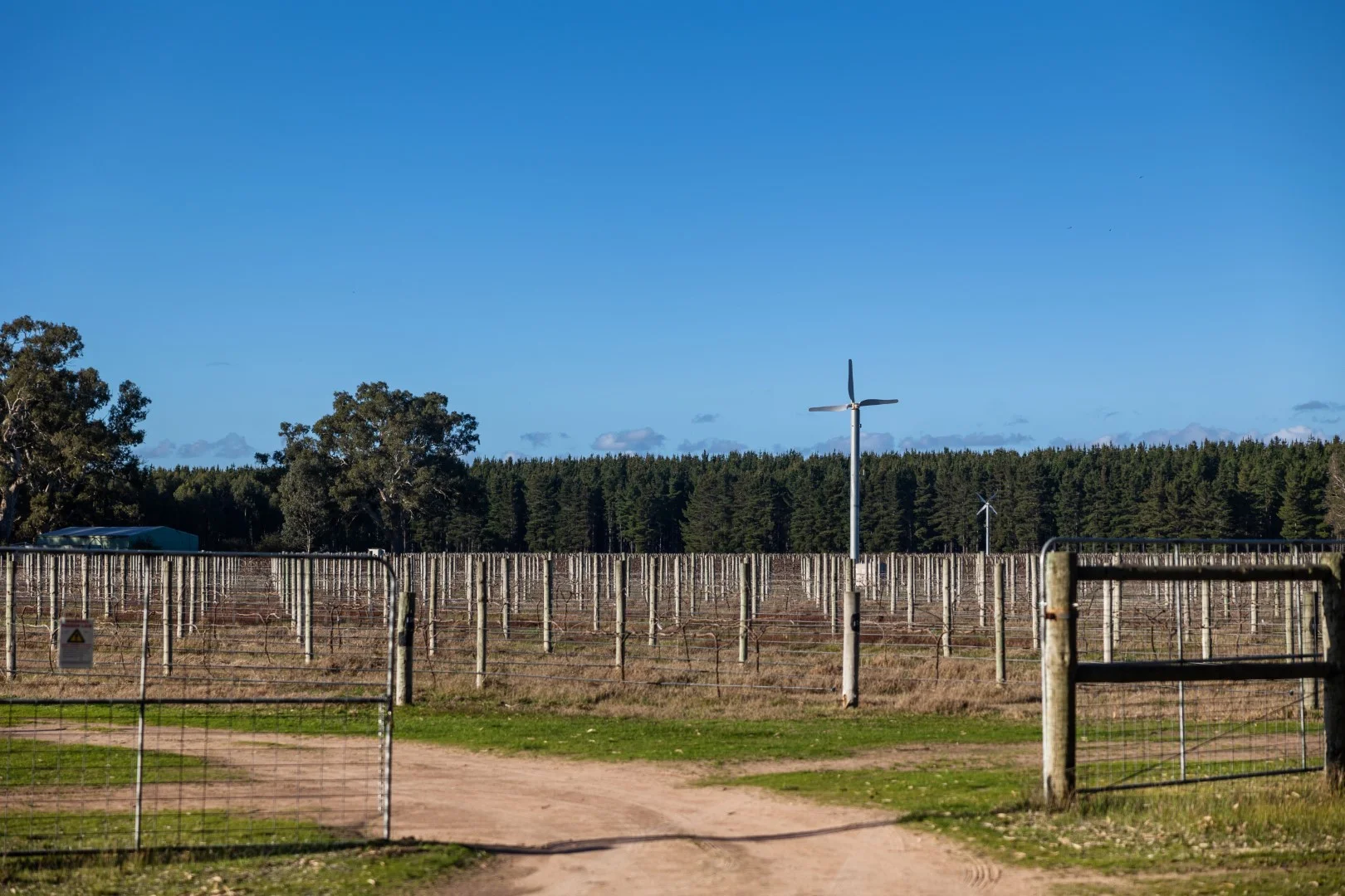 Additional image 7 of 719 Casterton Road, Penola SA 5277