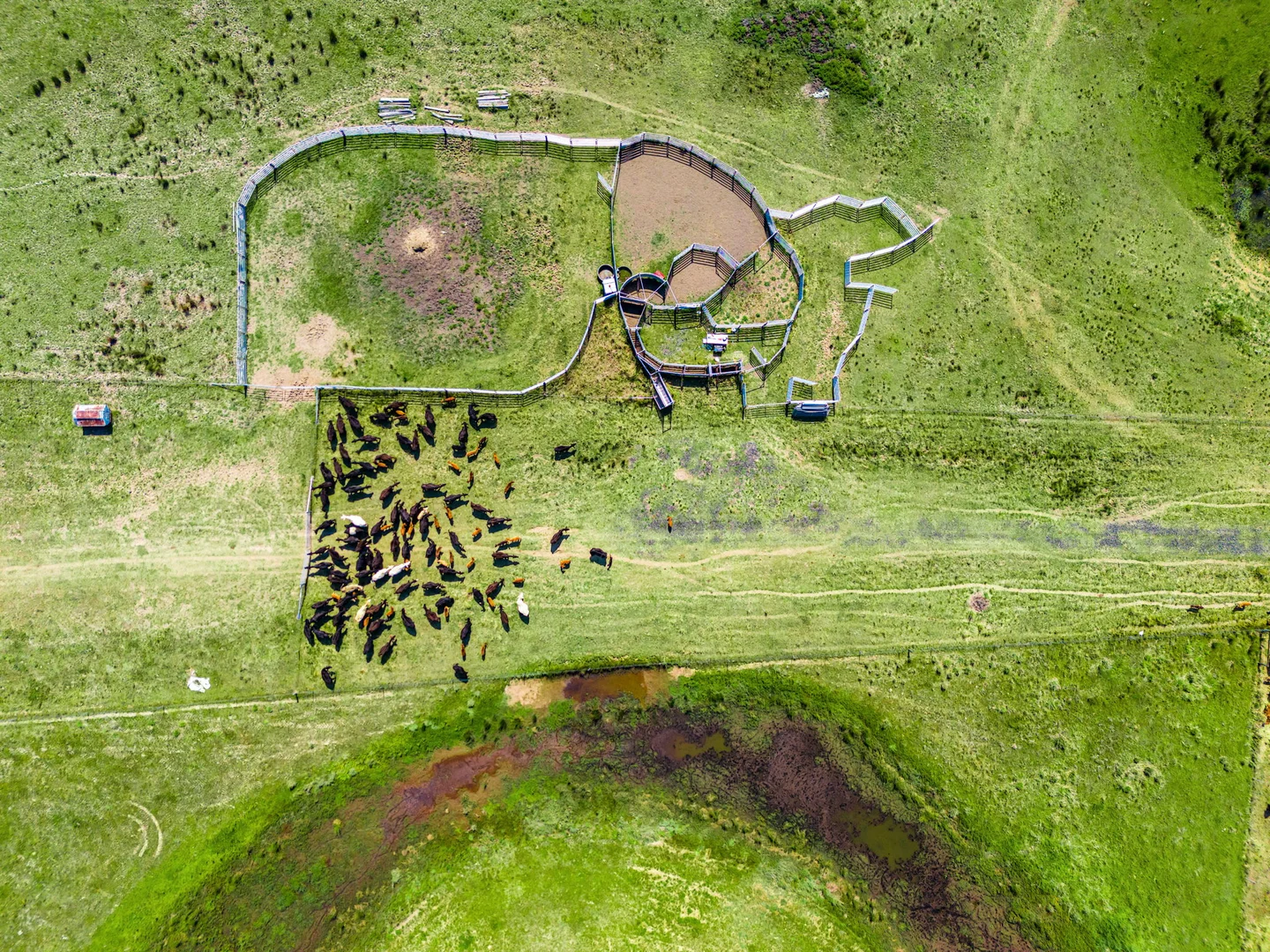 Additional image 22 of 160 Busbys Flat Road, Leeville NSW 2470