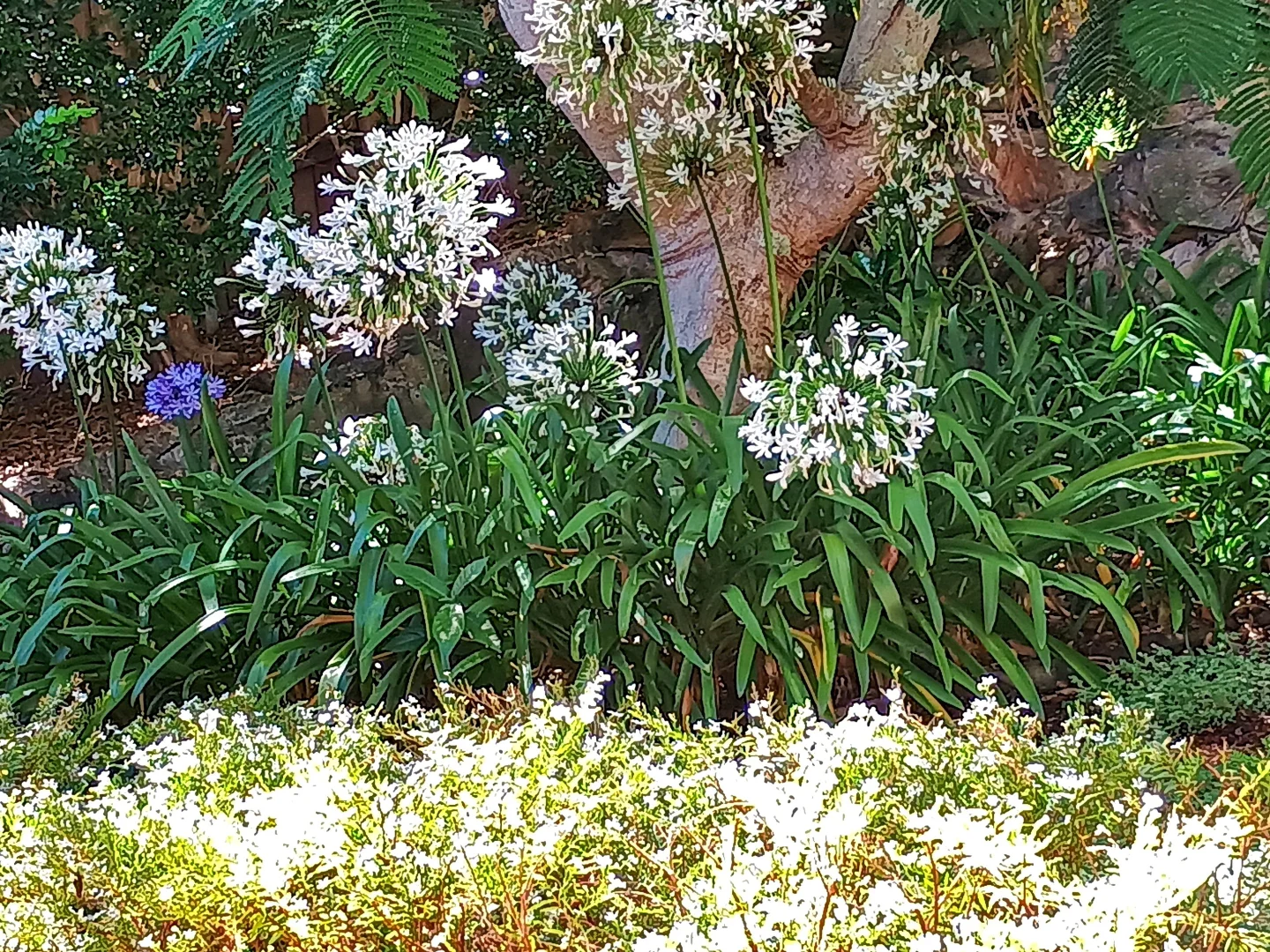 Additional image 21 of 18 Panorama Parade, Scotts Head NSW 2447
