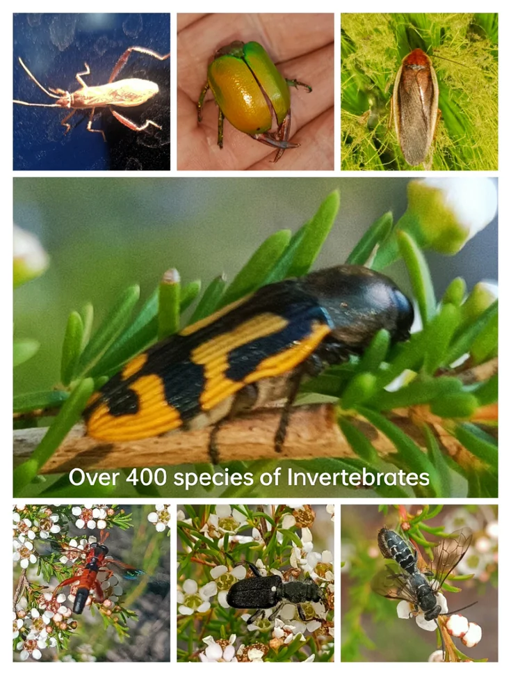 Additional image 8 of West Coolup WA 6214