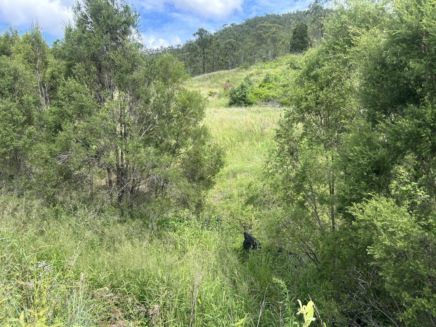 Additional image 8 of 789 Coppin Rd, Monto QLD 4630