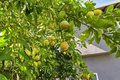 Additional image 37 of 612 Hudson St, Redwood City, CA, 94061