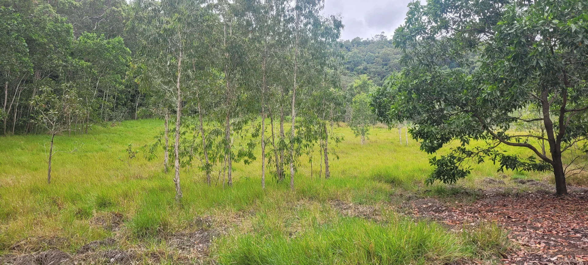 Additional image 19 of Lot 125 Mount Cudmore Road, Bemerside QLD 4850
