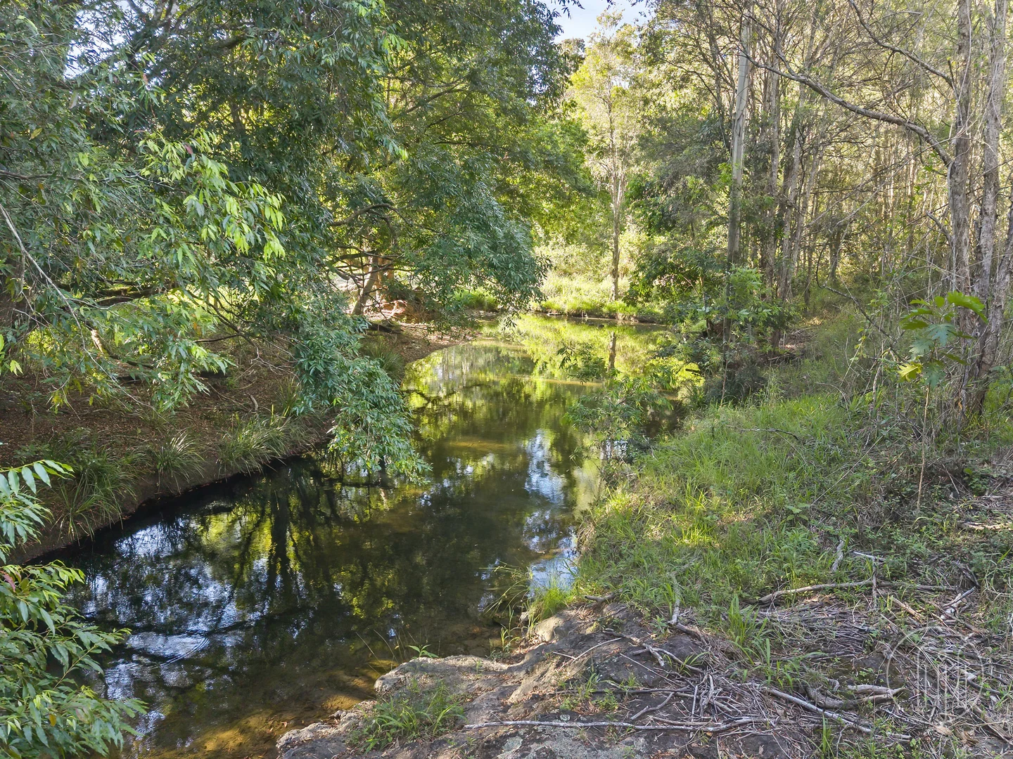 Additional image 25 of 299 Kidaman Creek Road, Kidaman Creek QLD 4574