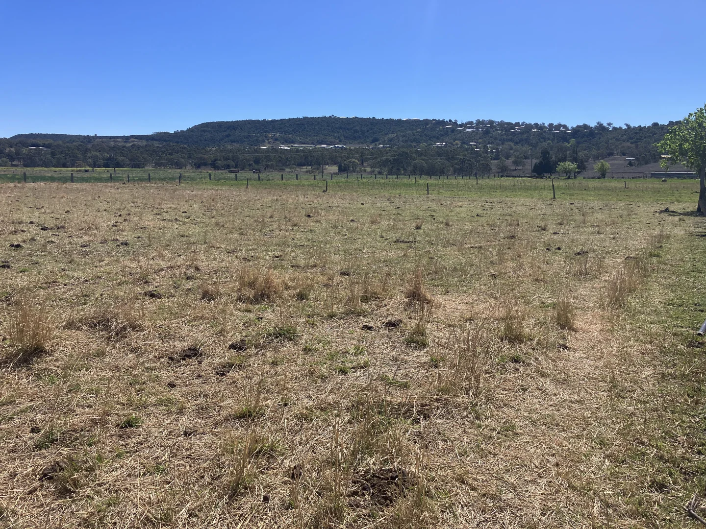 Additional image 19 of 122 Paulsens Road, Gowrie Junction QLD 4352