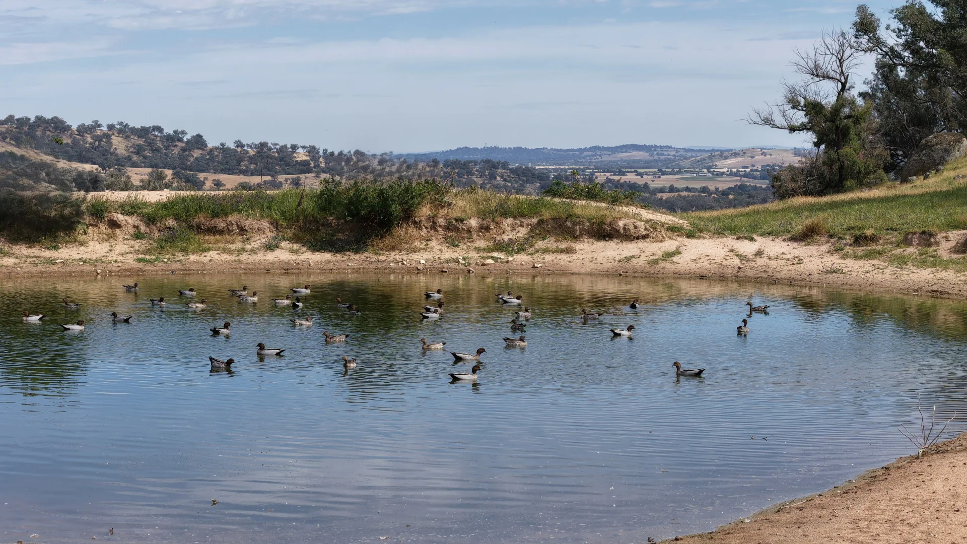 Additional image 9 of Lachlan View, 395 Battery Road, Cowra NSW 2794