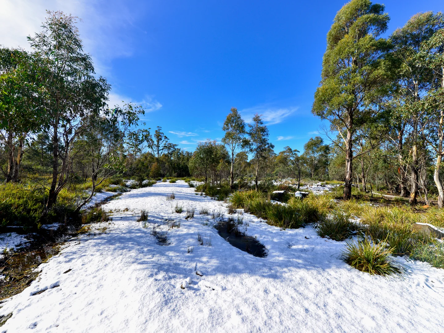 Additional image 21 of 172 Mcguires Marsh Road, Osterley TAS 7140