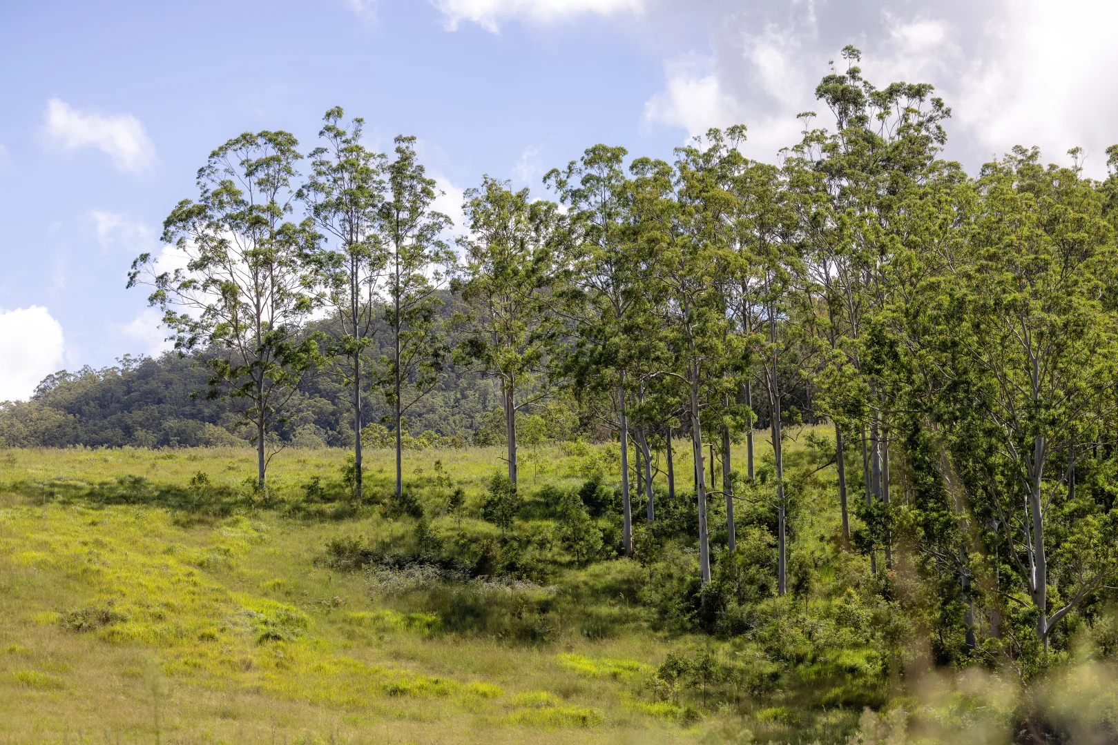 Additional image 24 of 382 Norwood Lane, Mount George NSW 2424