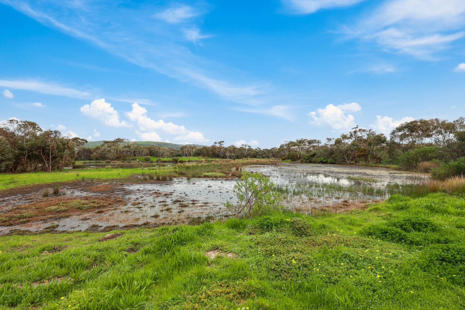 Additional image 24 of 14 Sun Orchid Drive, Chiton SA 5211