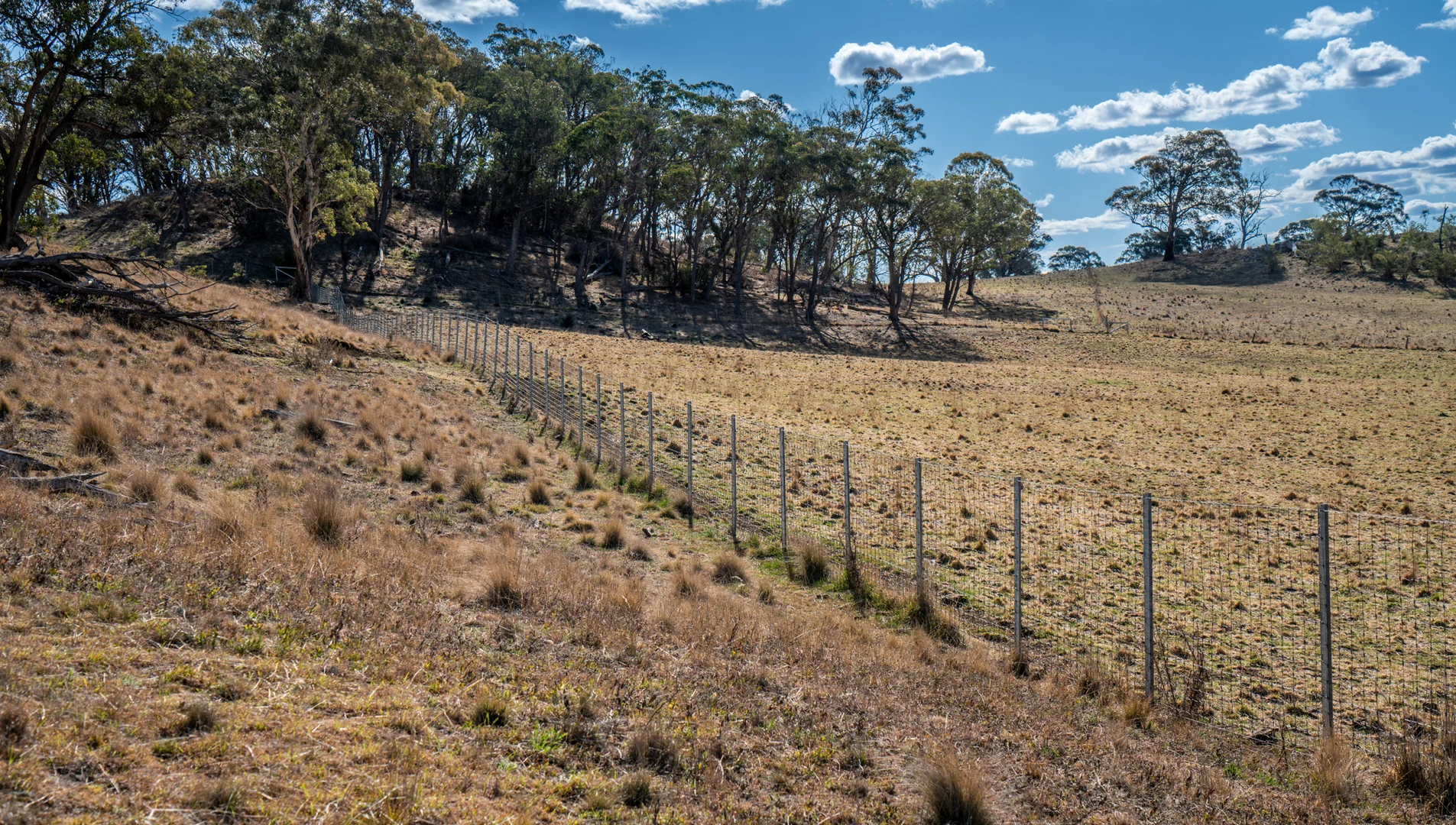 Additional image 11 of 250 Sissons Road Aberfoyle, Armidale NSW 2350