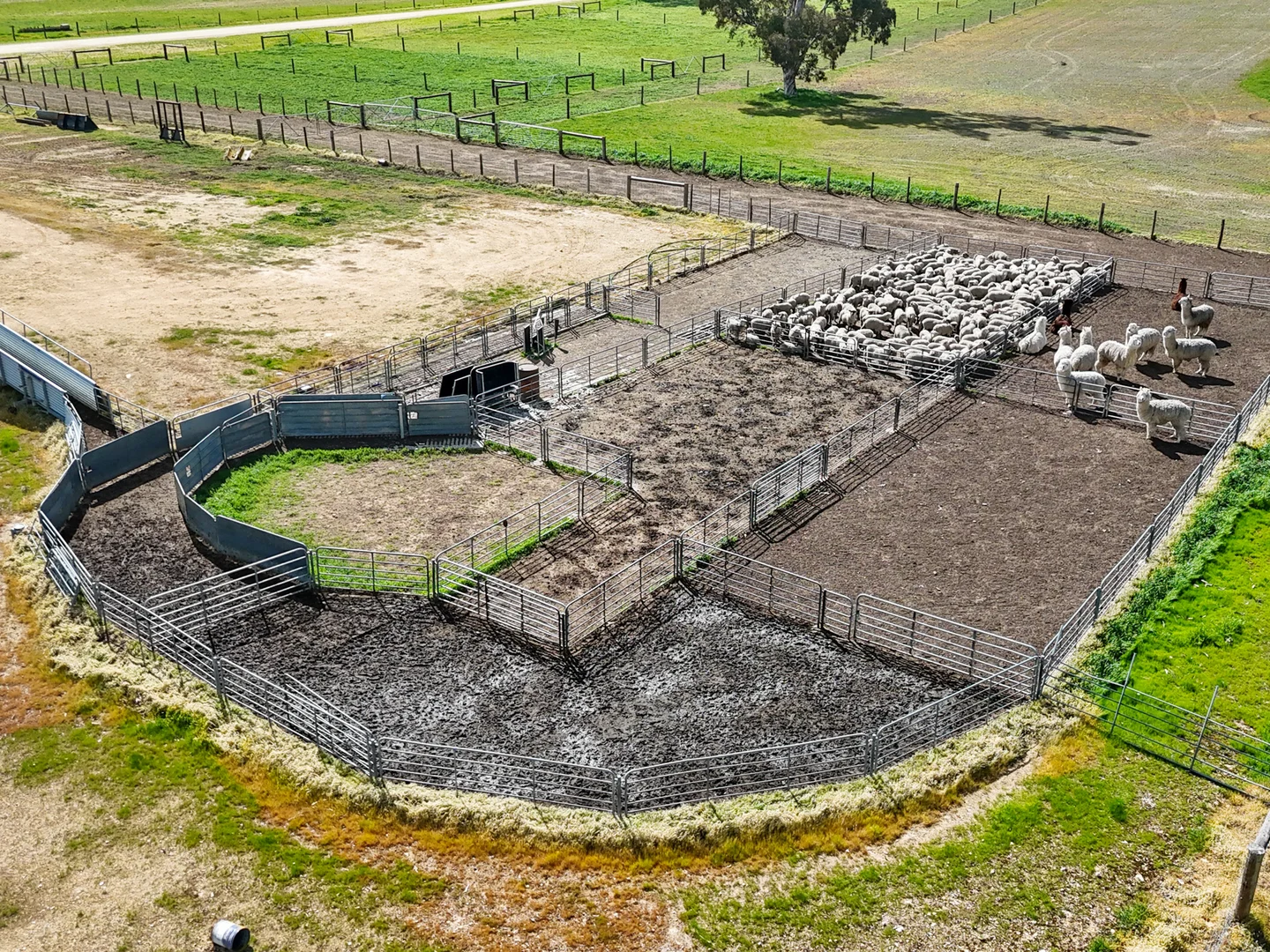 Additional image 24 of 559 Old Stone Tank Road, Mundulla SA 5270