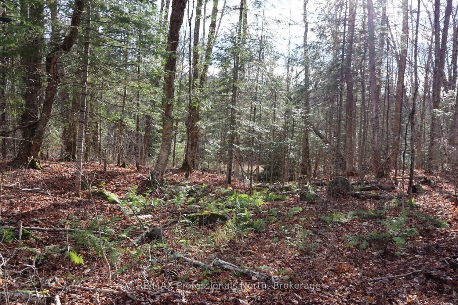 Additional image 10 of 0 Clive Trail