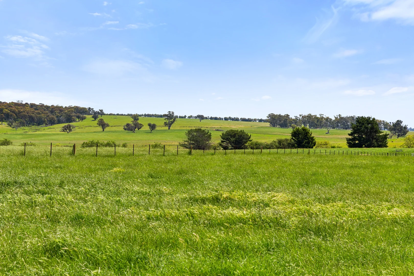 Additional image 57 of 192 Dawsons Creek Road Bannister Via, Crookwell NSW 2583