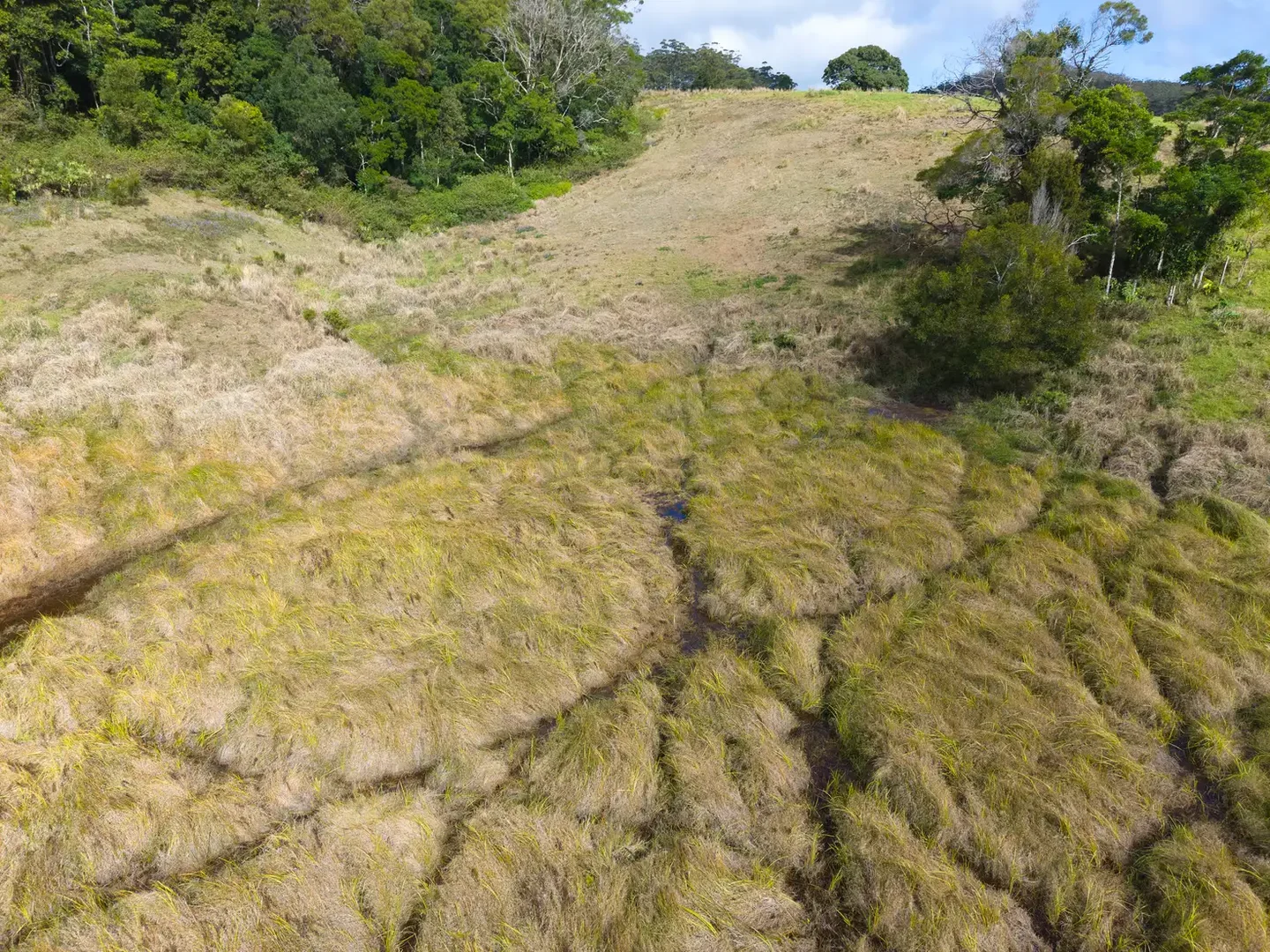 Additional image 19 of Lot 13/400 Bellthorpe West Road, Bellthorpe QLD 4514