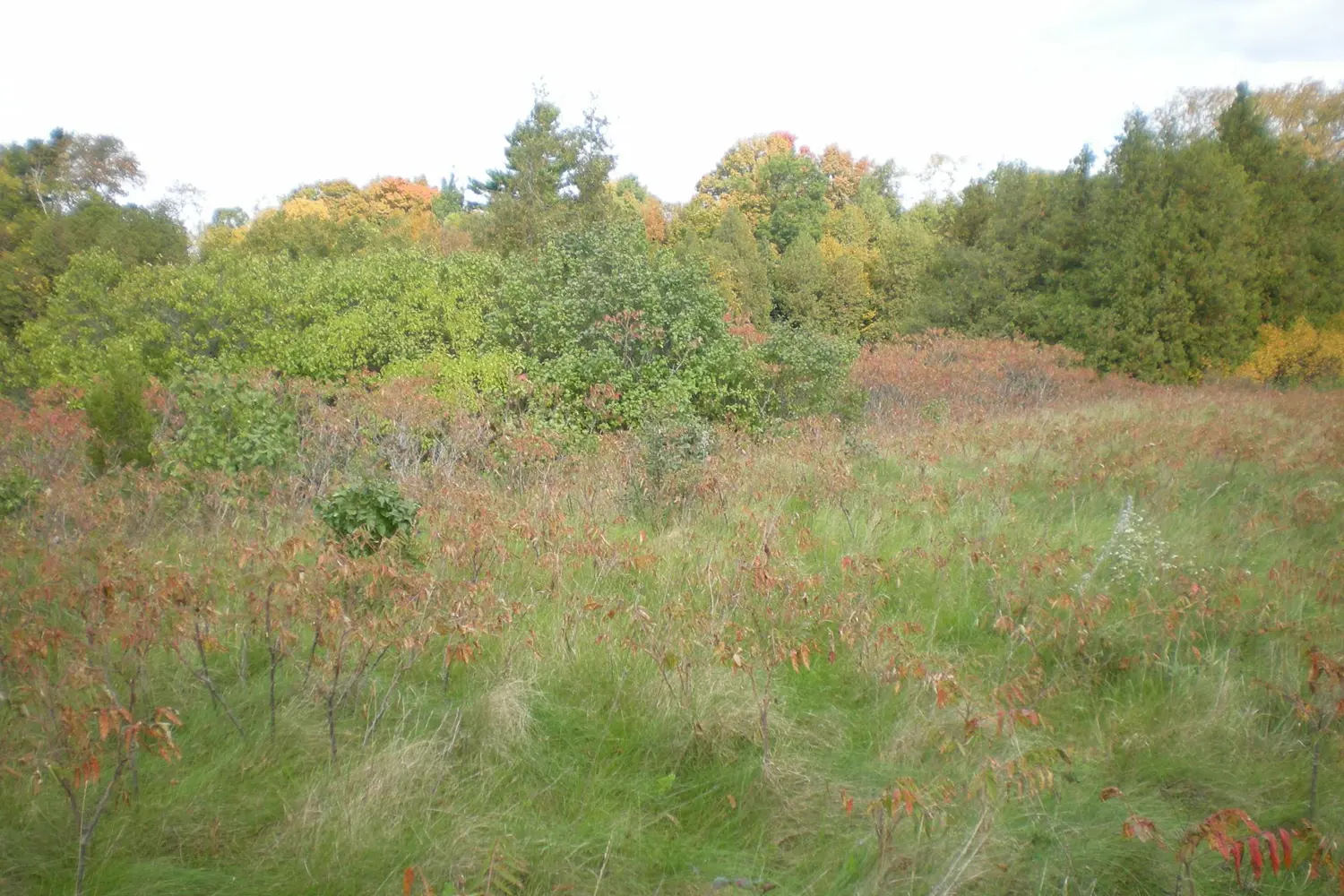 County Road 10, Lot 3 photo 5
