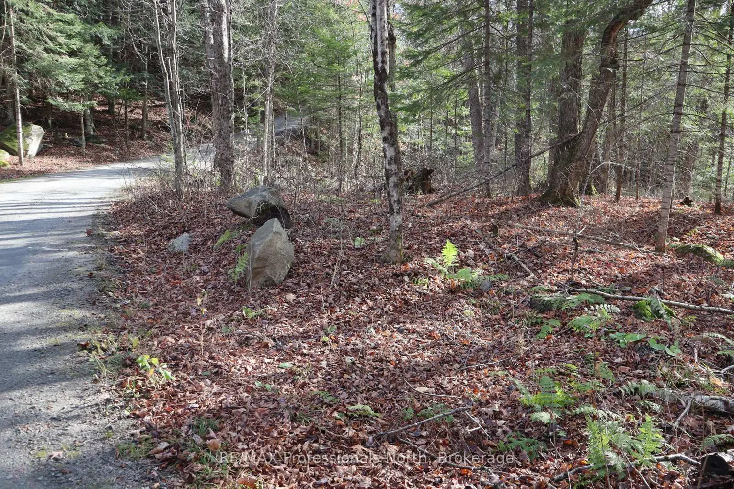 Additional image 9 of 0 Clive Trail